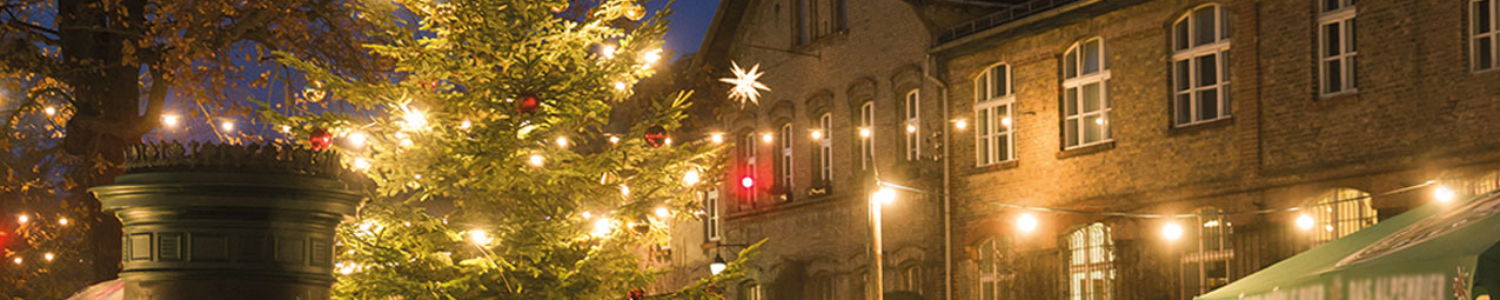 Weihnachtsmarkt: Ansicht mit geschmücktem Tannenbaum, Foto: Daniela Incoronato